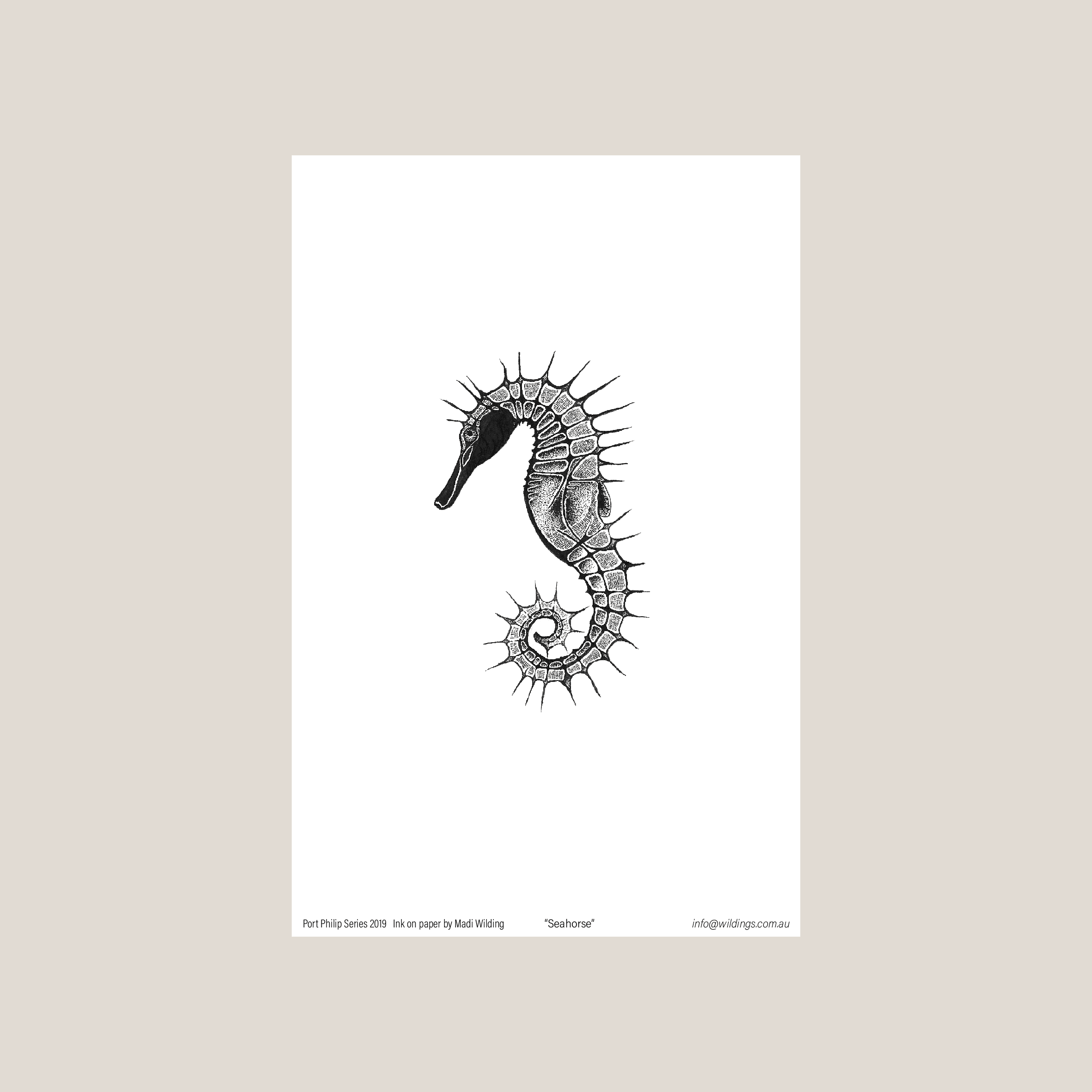 Seahorse_UF