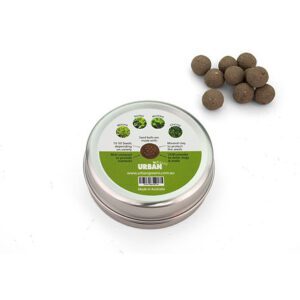 Seed balls in a tin - Image 5