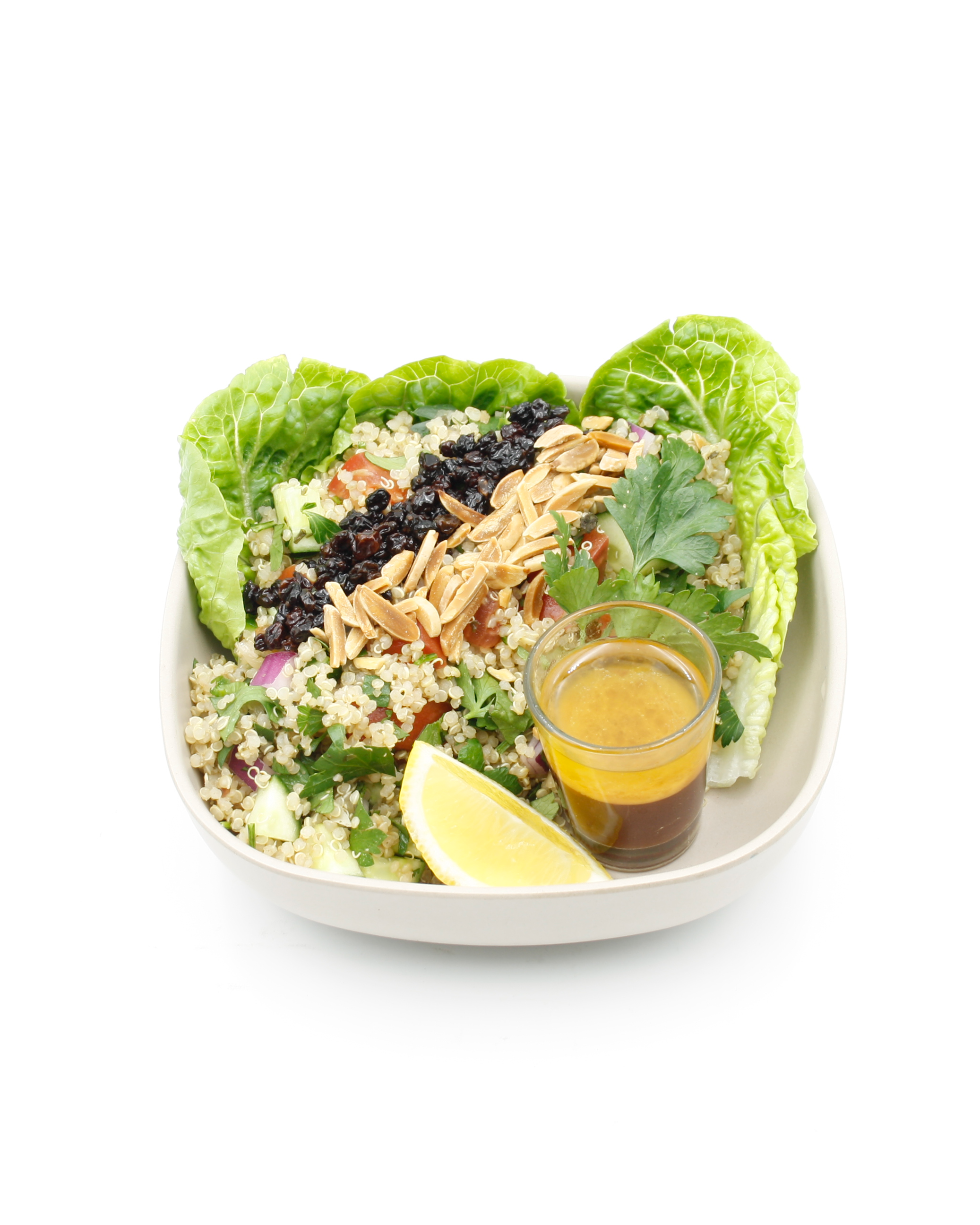 Lemon Quinoa Salad_2